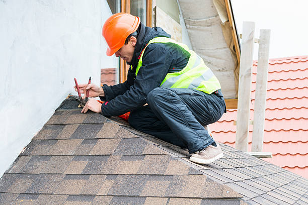 Best Metal Roofing Contractor  in La Honda, CA